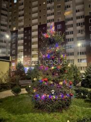 ��������� ������ 1-������ �������� ��� ����� ������� � ����� �� ����������� ��. ���� 8