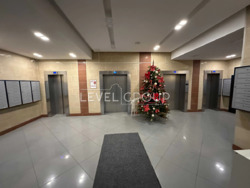 ������ ��������� 2 ������� �������� ���. �������������, 2� �� ������� ���� ���� 17