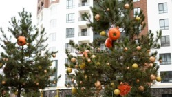 2-� � �������� �������� � �� ������� ѳ�. ���, 3-� ������ ���� 11