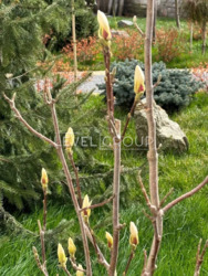 1кімнатна квартира на Краківській фото 9 1кімнатна квартира на Краківській фото 9