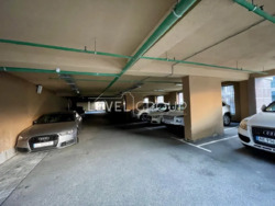 3 ��. �������� ���� �����, ĳ����,4 ���� 17