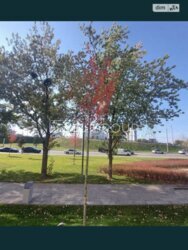 ������ 2-������� �������� �� ���. �������� ����������� ���� 4