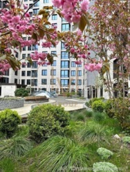   3       'Crystal Park Tower'  19