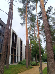  1    Forest Park -, -  1