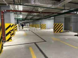 ����������� �� ������� ������� ����������� �������� � ���������� ���������� ����� �� ������ ���� 19