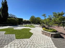   , ,  . (), 26, .    24