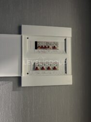 ������ 1-� �������� �� ������� ���� ���� 19