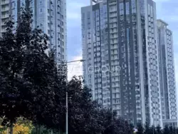 ������ �������� �� River Stone г��� ����� ������� ���������� ��������� ������ �������� ���� 16