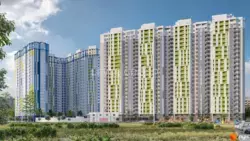 ������ 2-������ 3-������� �������� � �� ������� ���� 1