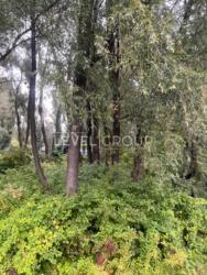 ��������� ������ 1-������ �������� ��� ����� ������� � ����� �� ����������� ��. ���� 3