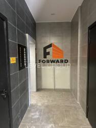  Forward, 502, ,    31