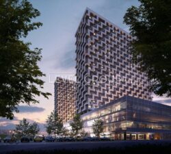 ������ 1-�� ������� �������� � �� BOSTON Creative House ���� 1