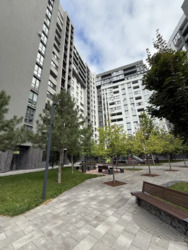  : 2-(712)    Paradise Avenue()  3