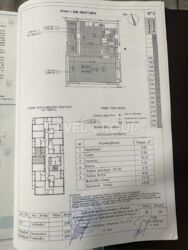 1-    . ( ), 10-  17