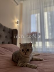     ''   !  2