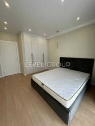 ������ 1-������� �������� 41 � � �� ����� ������ | ����������� ����� ���� 8