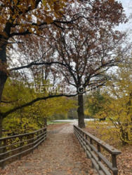 ������ 2-������� �������� � �� ������� ����� 2� ���� 12