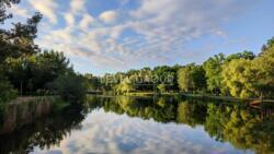 ������ ����������� �������� � �� ������ ����� ���� 23