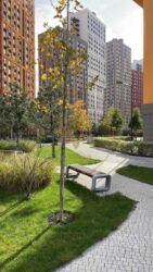  3-    Svitlo Park ( )  12