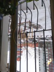 ������ 1-������� �������� �� ���. ����������� ���� 11