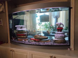 Пентхаус, 4к, Оболонь, Оболонські Липки, Парк Наталка, Мінська фото 6 Пентхаус, 4к, Оболонь, Оболонські Липки, Парк Наталка, Мінська фото 6