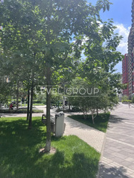 �� ������� ����������� 1-������� �������� � ��������� ��������� �������� Svitlo park ���� 11