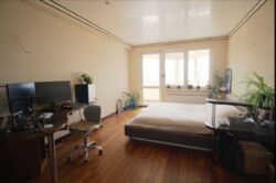   , , ,   . ( ), 23, .   13