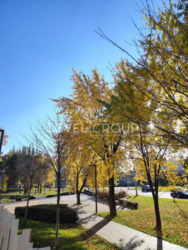 Видова квартира на Голосіївський ліс фото 3 Видова квартира на Голосіївський ліс фото 3