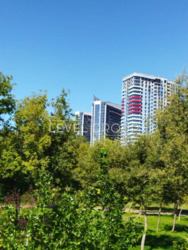 ����������� �� ������� ������� ����������� �������� � ���������� ���������� ����� �� ������ ���� 15