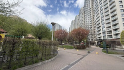 �������� �� ���������� ����� � �� Park Avenue � ����������� �����., 62 ���� 22