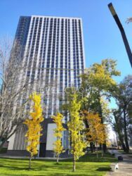 Видова квартира на Голосіївський ліс фото 1 Видова квартира на Голосіївський ліс фото 1