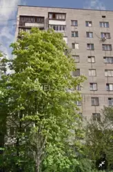 ������ 1� ��������, ���������� �-�, �.������������ ���� 22