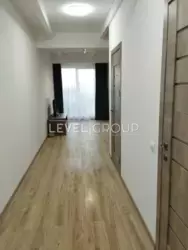  3-   .    15