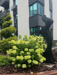 ����������� ��������, �� '�-�������', �������� ����� ������� ����� 14/2. ���� 16