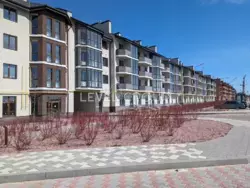  1-    FAMILY-2, . , . ѳ, 1  1