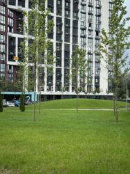      Dibrova Park.  3