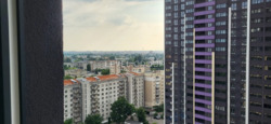       Okland  15