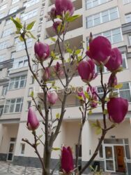 1кімнатна квартира на Краківській фото 7 1кімнатна квартира на Краківській фото 7