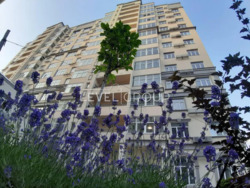 1кімнатна квартира на Краківській фото 6 1кімнатна квартира на Краківській фото 6