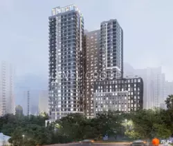  1-    Park Hills  1