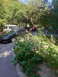 ������ ����������� �������� �� ������� ���. ��쳿�����, 51 ���� 12