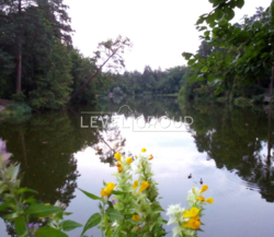 Продаж 1-к квартири вул. Квітки Цисик, 32, Оболонський район, Київ фото 16 Продаж 1-к квартири вул. Квітки Цисик, 32, Оболонський район, Київ фото 16