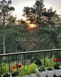 ������ 2� �������� 62.5 ��.�. �� Greenwood, ���, ������, ���. ������������ (������������), 100 ���� 8