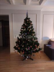 3-4 кімнатна квартира з високоякісним, екологічним ремонтом, проспект Науки, Деміїівська фото 11 3-4 кімнатна квартира з високоякісним, екологічним ремонтом, проспект Науки, Деміїівська фото 11