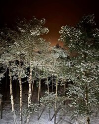 ������ 2� �������� 62.5 ��.�. �� Greenwood, ���, ������, ���. ������������ (������������), 100 ���� 9