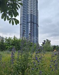 Дизайнерська 2кімнатна квартира в ЖК Сонячна рів'єра фото 20 Дизайнерська 2кімнатна квартира в ЖК Сонячна рів'єра фото 20