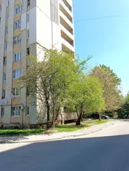   , , ,   1