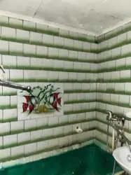   , , ,   5
