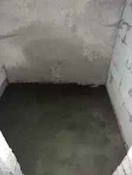     -䳺    .   6