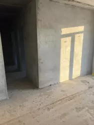     -䳺    .   2